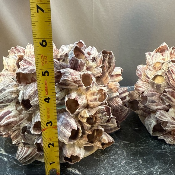Decorative Barnacle Clusters - Purple and Cream sconces candle holders - Picture 12 of 15